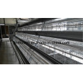 Hochwertiges Chicken Cage System für Geflügelfarm